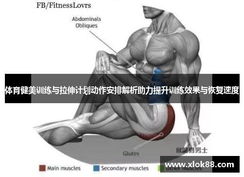 体育健美训练与拉伸计划动作安排解析助力提升训练效果与恢复速度